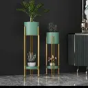 Beautiful  Planters, photo 4