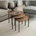 Nesting Coffee Table Set, photo 3