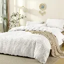 1000468069.webp