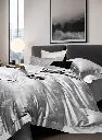 1000517678.webp